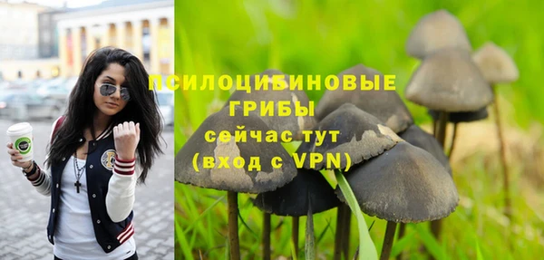 ALPHA PVP Кукмор