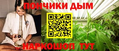 прущие грибы Балашиха