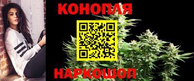 бошки Донецк