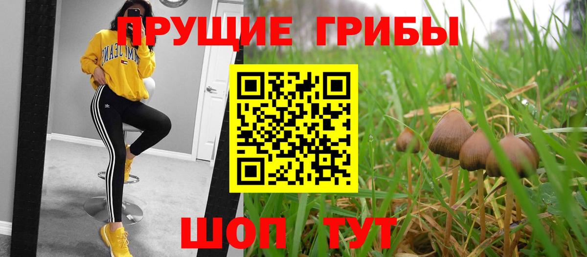 Галлюциногенные грибы GOLDEN TEACHER Мариинск