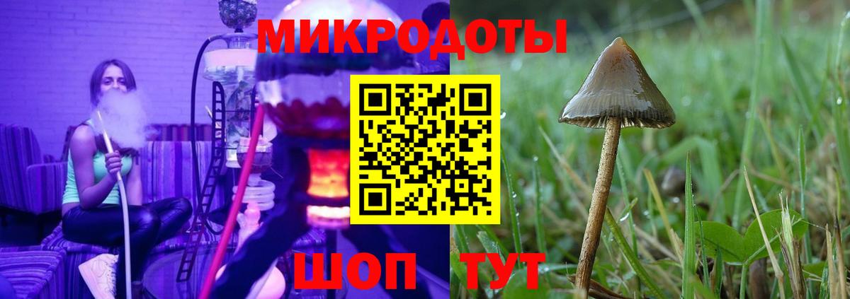 Псилоцибиновые грибы MAGIC MUSHROOMS  Мариинск  Галлюциногенные грибы мухоморы 